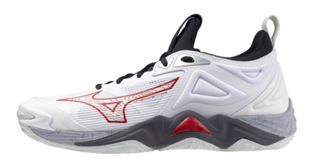 Mizuno wave Momentum 3