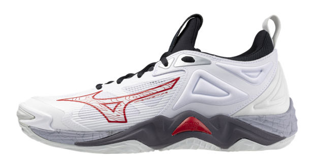 Mizuno wave Momentum 3